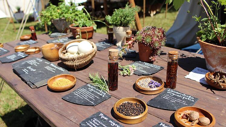 Impressionen von Stadtfest und Mittelaltermarkt in Bad Brückenau Foto: Julia Raab/Ulrike Müller