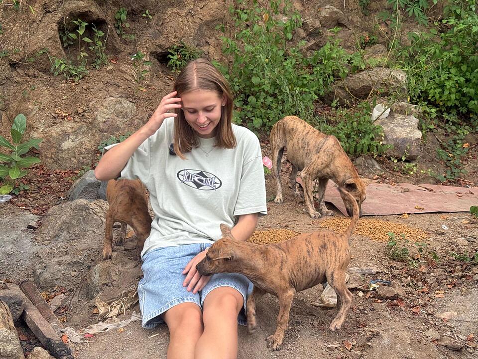 Eileen aus Franken (20) wandert aus, um Hunde zu retten - dann folgen Morddrohungen