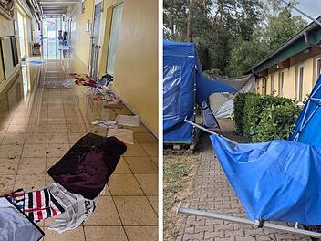 Tierheim N&uuml;rnberg wird Opfer von heftigem Unwetter - "brauchen Hilfe"