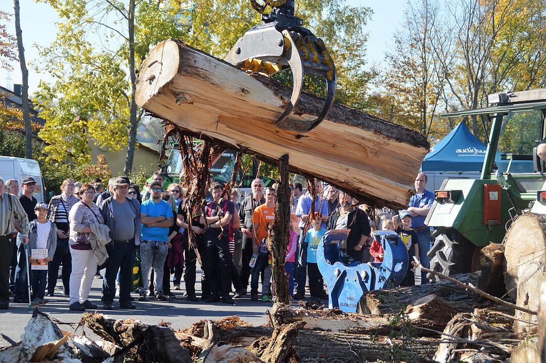 Holztag Scheinfeld 2017