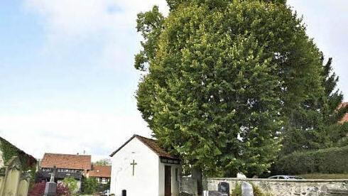 Das ehemalige Totenhaus am Friedhof in Römershofen kann abgerissen werden. Die beiden Bäume am Friedhofseingang sollen bleiben.