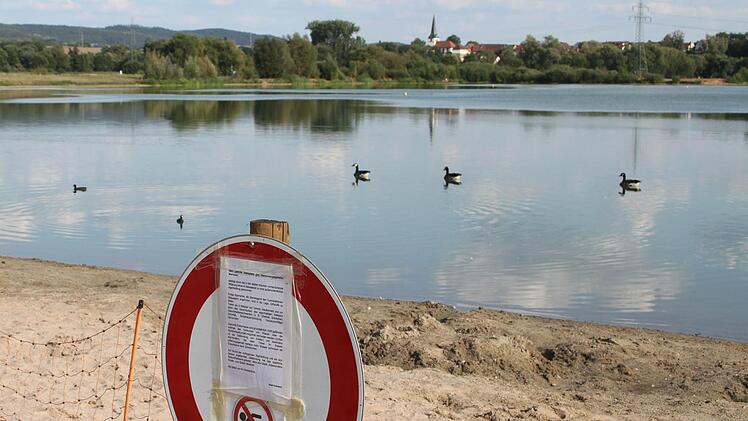 Die Kanadag&auml;nse haben sich den Uferbereich erobert und den See jetzt ganz f&uuml;r sich allein. Foto: Sonny Adam