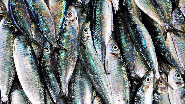 Das Fischgeruch-Syndrom ist eine Stoffwechselkrankheit, bei der Betroffene eine unangenehm riechende Substanz in ihrem Schwei&szlig; absondern. Symbolfoto: pasja1000/Pixabay.com