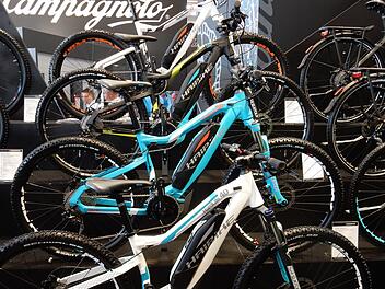 Fahrräder mit Elektromotoren überschwemmen derzeit den Markt.  Foto: Archiv/Gerd Landgraf