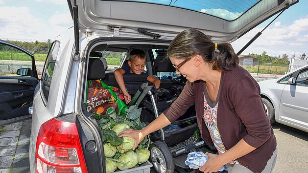 Abverkauf nach Erdfloh-Befall in Bamberg: Die  Kohlrabis, die Kristin Pfeiffer bei G&auml;rtner Eichfelder  gekauft hat, sind - bis auf die Bl&auml;tter - tadellos, findet auch Felix (7) auf der R&uuml;ckbank.  Foto: Ronald Rinklef