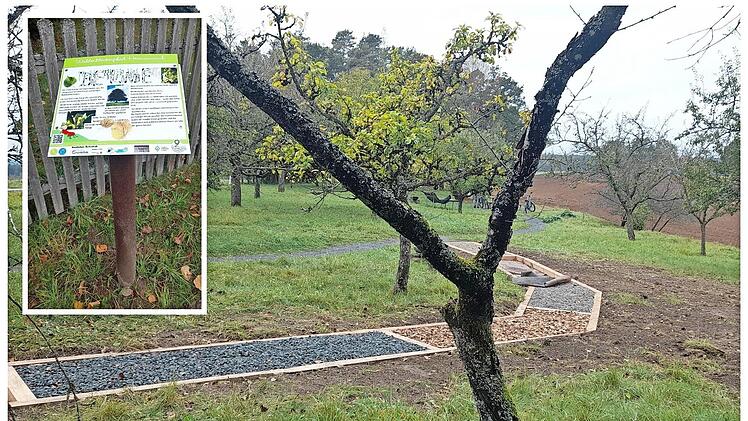Die Grundschule Burkardroth gestaltete die neuen Tafeln des Baumlehrpfades an der Hermannsruh (Stralsbach). Dar&uuml;ber hinaus wurde der Barfu&szlig;pfad revitalisiert und die Umgebung so f&uuml;r alle Besucher attraktiver und nachhaltiger gestaltet.