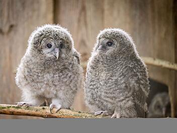 Tiergartenbesuch Tiergartenbesuch