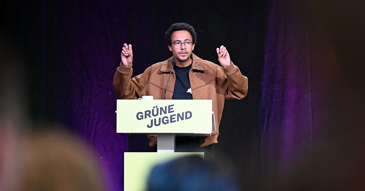 Luis Bobga: Consequences for Green Youth leader after insulting Söder