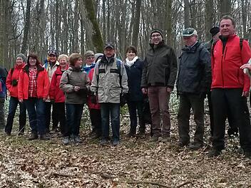 Zur Eröffnung der Wandersaison ging es bei der Märzenbecher-Wanderung von Rannungen nach Münnerstadt.  Foto: Harald Klopf