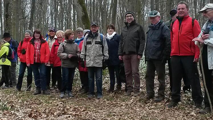 Zur Eröffnung der Wandersaison ging es bei der Märzenbecher-Wanderung von Rannungen nach Münnerstadt.  Foto: Harald Klopf