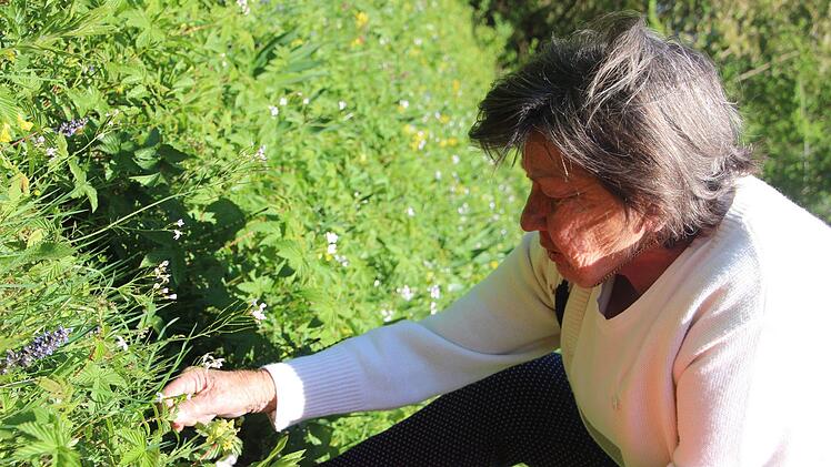 Maria Neumann kennt sich in der Natur aus: Sie weiß, welches Kraut essbar ist - und welches nicht. Fuchs