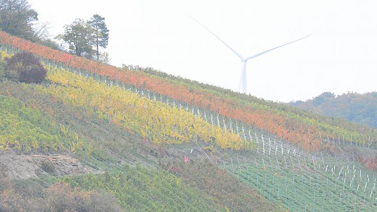Weinberglauf beim SV Ramsthal. Foto: ssp