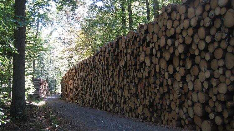 Tribut der Waldbesitzer: unverkäufliches Käferholz