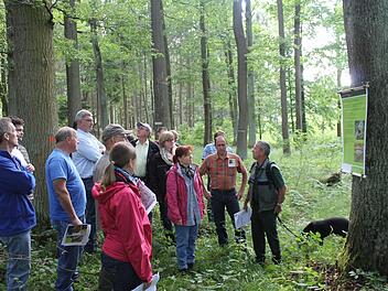 Im Recheldorfer Auholz stellte Förster Wolfgang Gnannt (rechts) den Gemeinderäten das Konzept des Aktionsjahres "Waldnaturschutz" vor. Foto: Janina Reuter