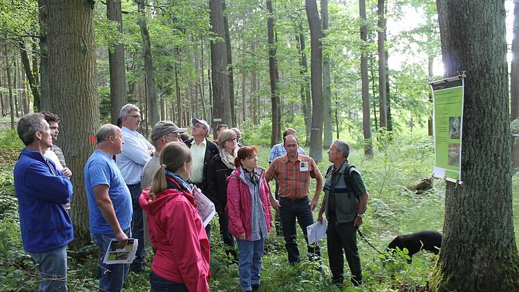 Im Recheldorfer Auholz stellte Förster Wolfgang Gnannt (rechts) den Gemeinderäten das Konzept des Aktionsjahres "Waldnaturschutz" vor. Foto: Janina Reuter