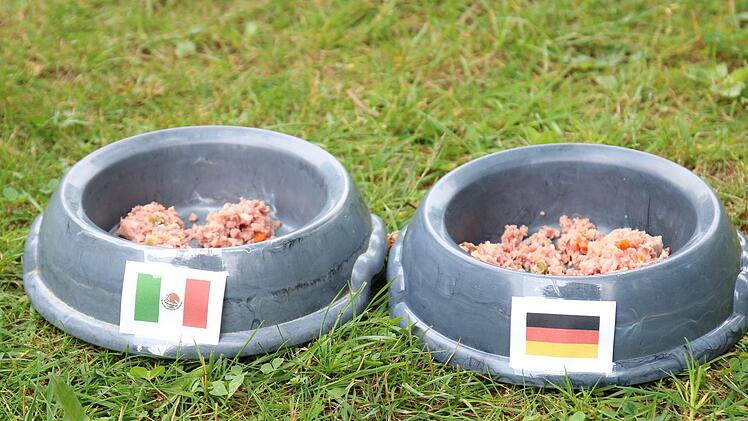 Mexiko oder Deutschland? Zwei Näpfe und einen Hund braucht es für unser WM-Orakel.Jochen Nützel