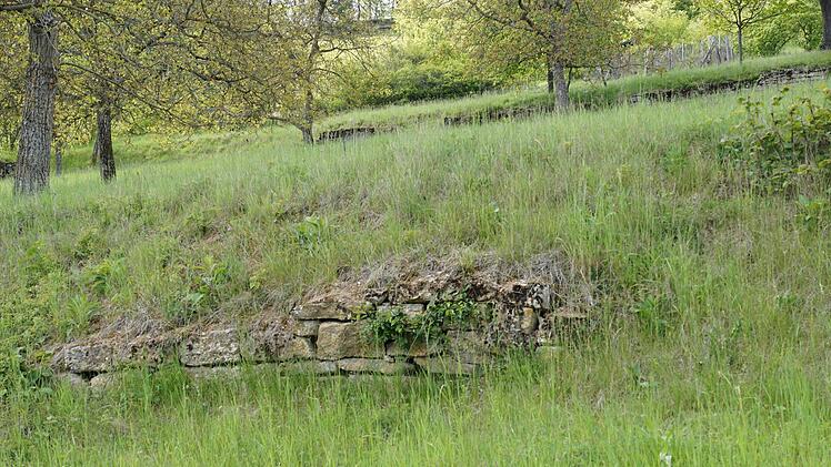 An vielen Hängen sind Spuren früheren Weinbaus zu entdecken.Foto: Arkadius Guzy