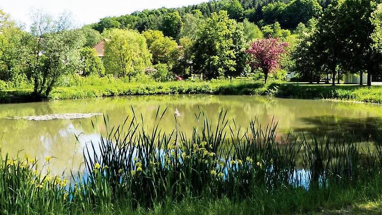 Der Stettfelder Dorfsee ist zwar idyllisch, aber nicht wirklich nutzbar. Die Gemeinde will sichere Flachwasserzonen einrichten und Areale, mit deren Hilfe man leichter in den See gehen kann. Das i-Tüpfelchen wäre eine Holzplattform, aber darüber gehen die Meinungen noch auseinander. Würde man diese Plattform einsparen, könnte man vielleicht die Pfarrscheune herrichten, hieß es bei dem Bürgergespräch.  Fotos: Christian Ziegler