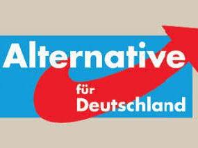 In der Stadt Forchheim darf die AfD antreten, im Kreis nicht. Illustration: Klaus Heim