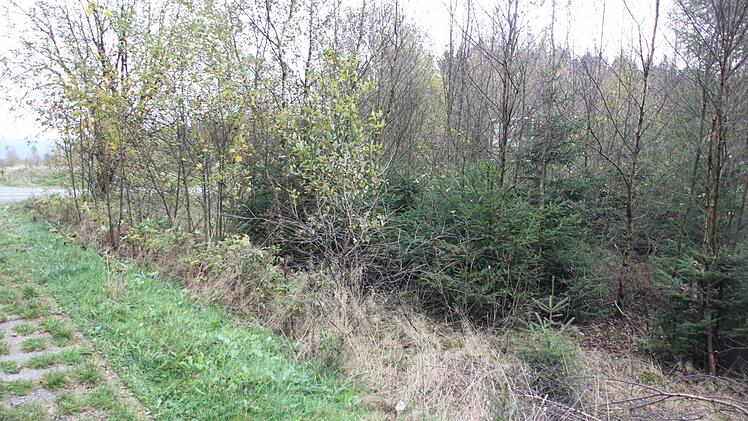 Hier war einmal ein Minenfeld. Foto: Friedwald Schedel