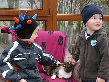 Gelassen ließ sich die Katze von den Buben streicheln. Wer weiß, wann es die nächsten Streicheleinheiten gibt?  Fotos: Dieter Britz