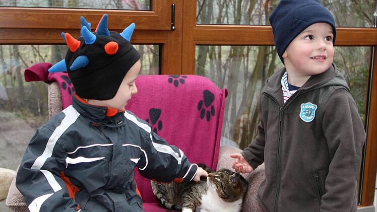 Gelassen ließ sich die Katze von den Buben streicheln. Wer weiß, wann es die nächsten Streicheleinheiten gibt?  Fotos: Dieter Britz