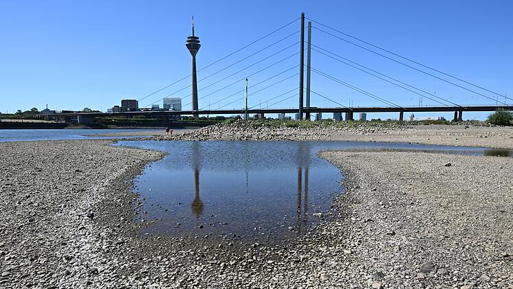 Niedrigwasser im Rhein