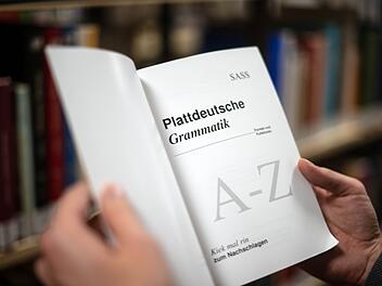 Onlineabstimmung f&uuml;r plattdeutsche Wortneusch&ouml;pfungen