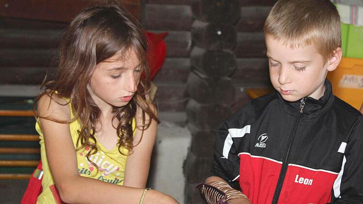 Voll konzentriert: Tamara und Leon, beide aus Westheim.