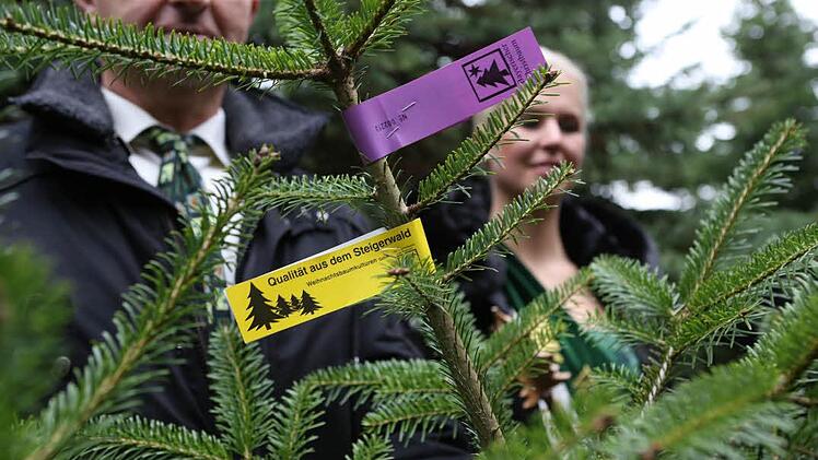 Foto: Barbara Herbst