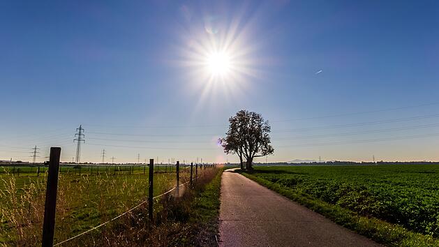 Sonne, Feld, Acker, Natur, Feldweg