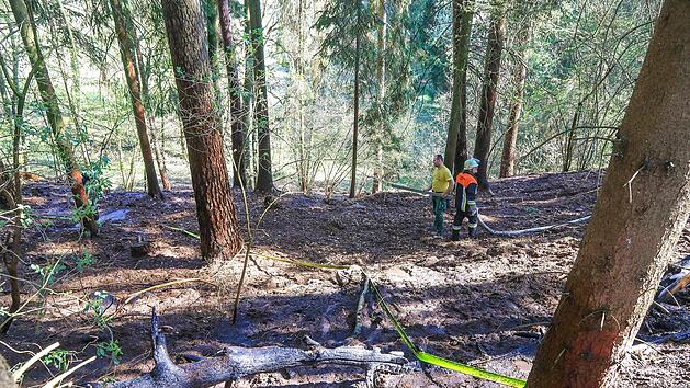 Am Dienstagnachmittag wurden die Feuerwehren zu einem Waldbrand bei Burgkunstadt gerufen. Foto: NEWS5 / Merzbach