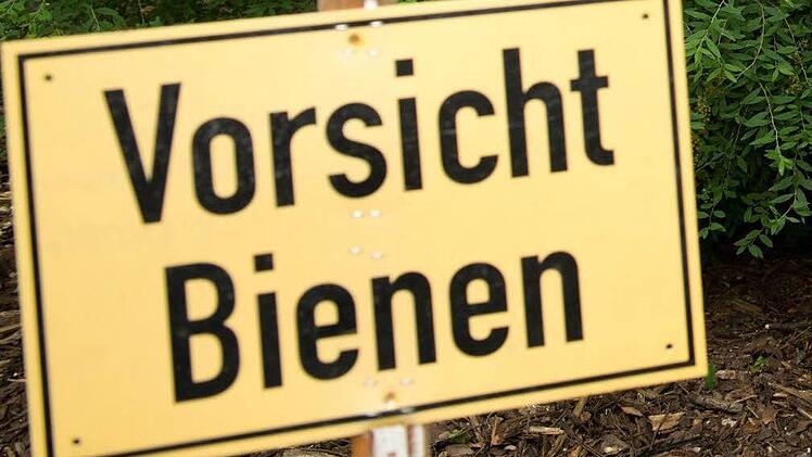 Mancherorts wagen sich zur Zeit die Bienen aus ihren Kästen, was für den Bestand der Insekten nicht gut ist. Foto: Jochen Lübke/dpa
