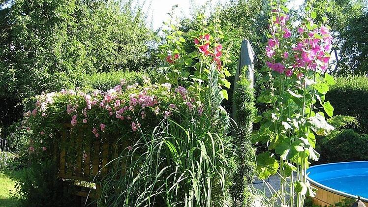 Sommerbild aus dem Garten Foto: Dieter Jochum