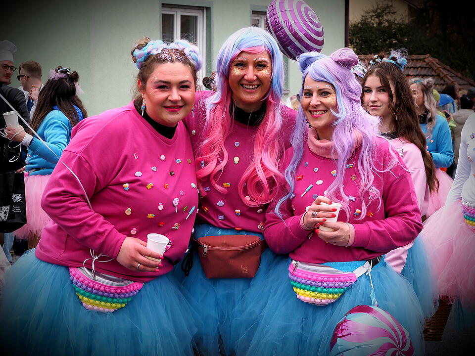 Fasching 2024 in Steinach