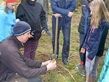 Baumfachmann Michael Weißerth setzt einem Bäumchen eine Krone auf, die es vor Wildverbiss schützen soll. Die jungen Stockheimer und Bürgermeister Rainer Detsch (Freie Wähler)passen gut auf. Foto: K.-H. Hofmann