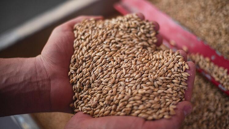 Die Nützel Mühle GmbH aus Draisendorf will in Feulersdorf Getreide veredeln, wie Geschäftsführer Matthias Nützel mitteilt.  Symbolbild: Nicolas Armer/dpa