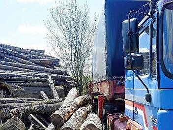 Die Nutzung als Holzlager und vor allem als Abstellfläche für Lastkraftwagen war bisher ein rechtliches Grauzonengebiet am Ortsrand von Waizenbach. Foto: Gerd Schaar