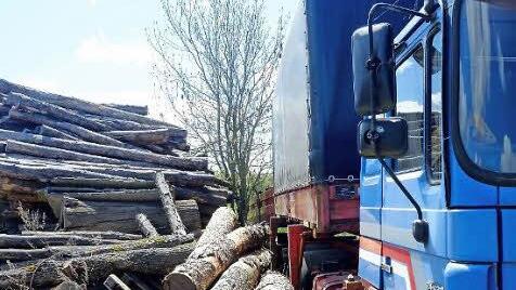 Die Nutzung als Holzlager und vor allem als Abstellfläche für Lastkraftwagen war bisher ein rechtliches Grauzonengebiet am Ortsrand von Waizenbach. Foto: Gerd Schaar