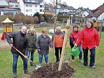 Es ist immer noch zu trocken, finden Lydia Kainbacher und Sonja Peschke (v. r.). Über den geschenkten Baum freuen sich Bürgermeister Klaus Faatz, sein Stellvertreter Gerhard Kreß, Elfriede und Friedrich Zürl vom Vorstand des Obst- und Gartenbauvereins (v. l.) Foto: Evi Seeger