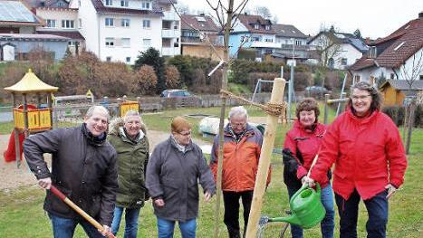 Es ist immer noch zu trocken, finden Lydia Kainbacher und Sonja Peschke (v. r.). Über den geschenkten Baum freuen sich Bürgermeister Klaus Faatz, sein Stellvertreter Gerhard Kreß, Elfriede und Friedrich Zürl vom Vorstand des Obst- und Gartenbauvereins (v. l.) Foto: Evi Seeger