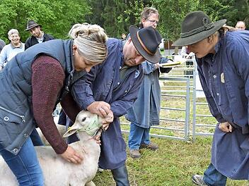 Das Gerätemuseum des Coburger Landes und mit seinen Veranstaltungen wie dem Schaffest (das am kommenden Sonntag wieder stattfindet) wird organisatorisch auf neue Beine gestellt und mit einem neuen Konzept weiter betrieben. Foto: CT-Archiv/Gabi Bertram