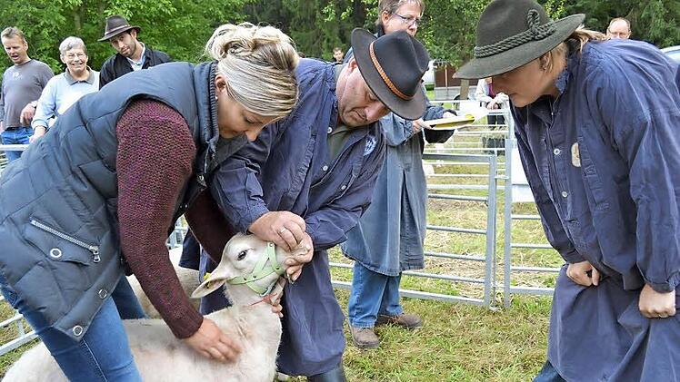 Das Gerätemuseum des Coburger Landes und mit seinen Veranstaltungen wie dem Schaffest (das am kommenden Sonntag wieder stattfindet) wird organisatorisch auf neue Beine gestellt und mit einem neuen Konzept weiter betrieben. Foto: CT-Archiv/Gabi Bertram