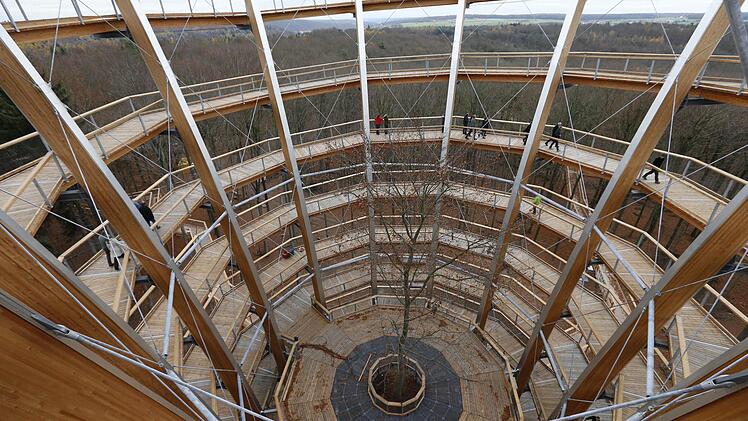 Blick von schräg oben in den kelchförmigen Aussichtsturm am Ebracher Baumwipfelpfad. Foto: Matthias Hoch