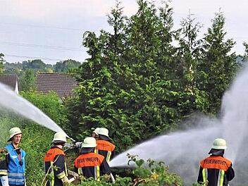 Aus allen Rohren bekämpften die Aktiven der drei Feuerwehren aus Mainklein, Theisau und Maineck den angenommenen Flächenbrand am Häckergrundbach. Foto: Ingrid Kohles