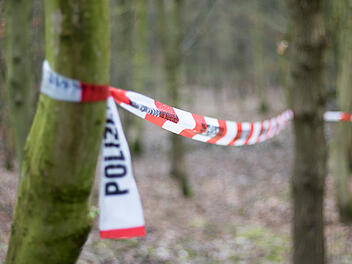 Vermisste Frau tot in Wald gefunden - tragisches Ende einer Suche in Franken