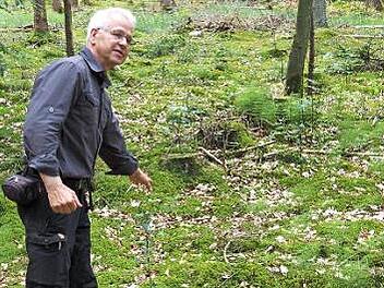 Klaus Schulz in seinem Element: Mit gro&szlig;er Sachkenntnis erl&auml;uterte er bei den regelm&auml;&szlig;igen Waldbegehungen mit dem Stadtrat das Konzept der naturnahen nachhaltigen Waldbewirtschaftung. Foto: Stadt Bamberg