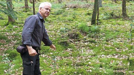Klaus Schulz in seinem Element: Mit gro&szlig;er Sachkenntnis erl&auml;uterte er bei den regelm&auml;&szlig;igen Waldbegehungen mit dem Stadtrat das Konzept der naturnahen nachhaltigen Waldbewirtschaftung. Foto: Stadt Bamberg