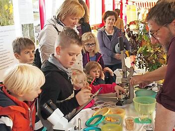 Kinder staunen beim Blick durch die Mikroskope der &Ouml;kologischen Bildungsst&auml;tte bei den Erlebnistagen. Foto: Nicole Julien-Mann/Archiv