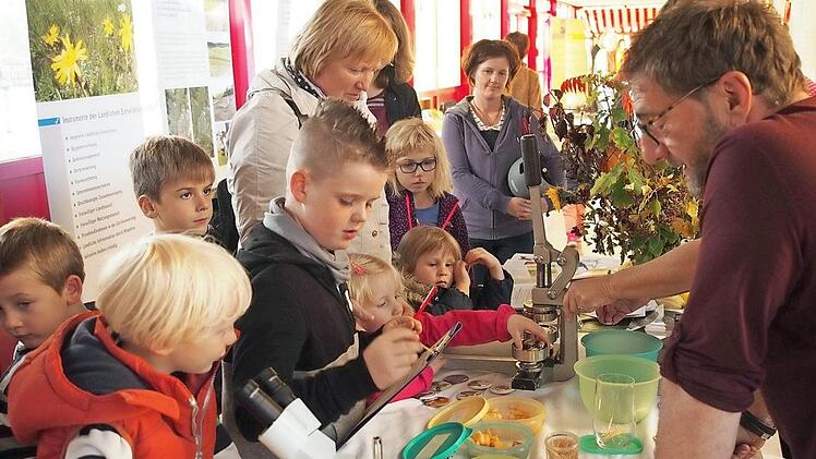 Kinder staunen beim Blick durch die Mikroskope der &Ouml;kologischen Bildungsst&auml;tte bei den Erlebnistagen. Foto: Nicole Julien-Mann/Archiv
